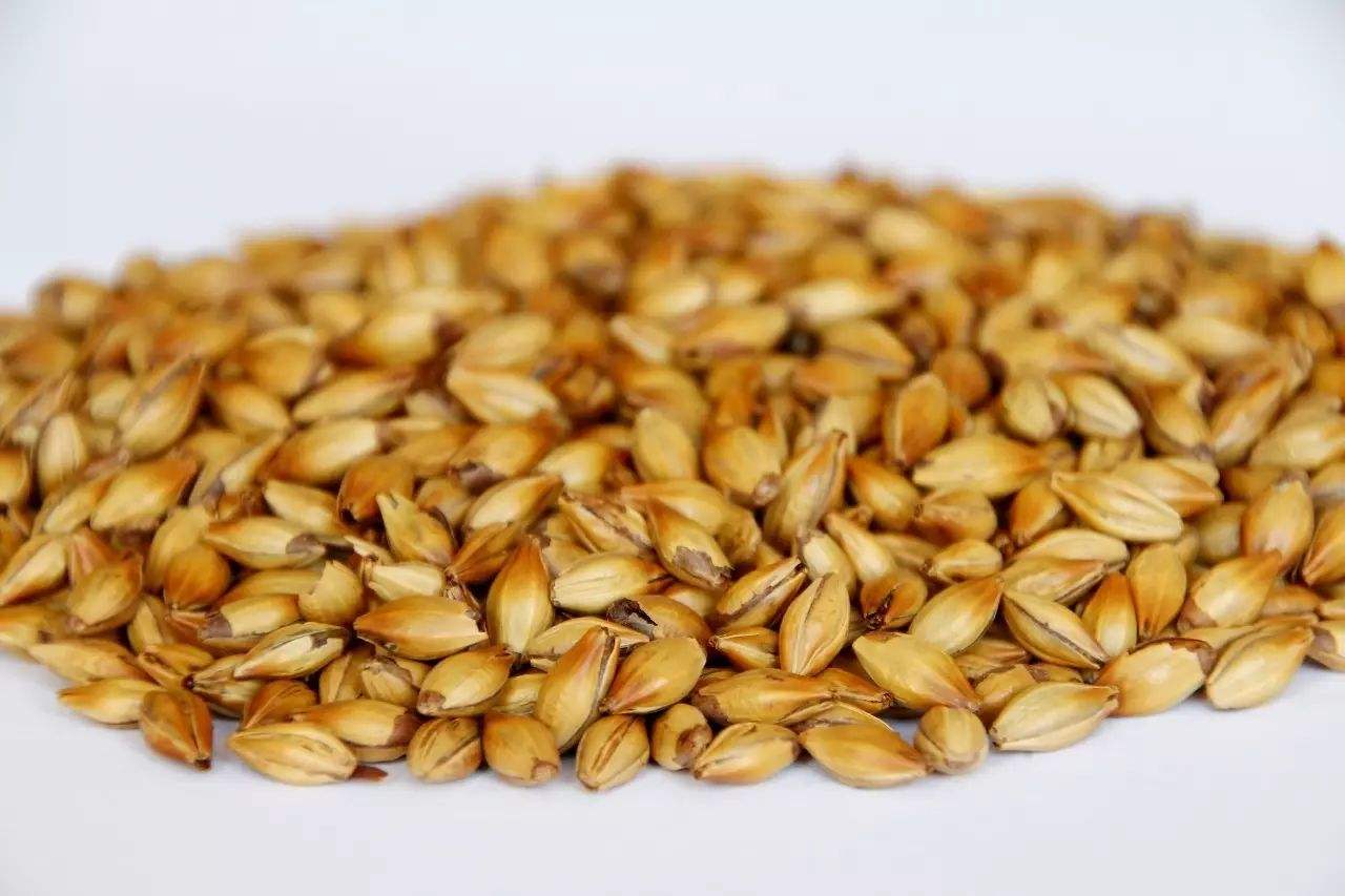 做精釀啤酒，如何選擇合適的粉碎機(jī)？